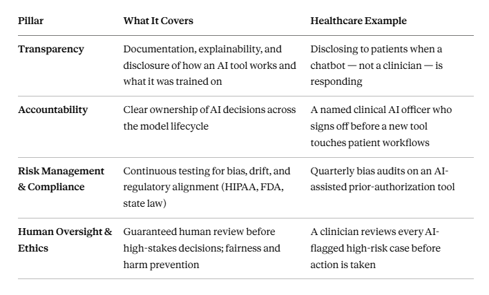 Complete AI Governance in Healthcare Agencies